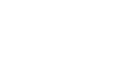 فاسٹ ٹرانسفر logo